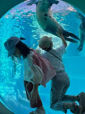 マリンワールド海の中道に投稿された画像（2024/11/4）