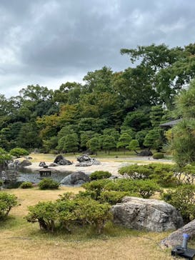 元離宮二条城に投稿された画像（2024/11/5）