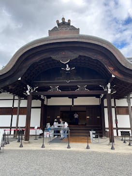 元離宮二条城に投稿された画像（2024/11/5）