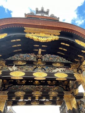 元離宮二条城に投稿された画像（2024/11/5）