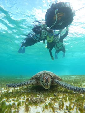 nico 宮古島に投稿された画像（2024/11/5）