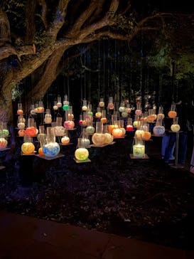 江の島シーキャンドルに投稿された画像（2024/11/5）