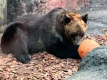 恩賜上野動物園に投稿された画像（2024/11/5）
