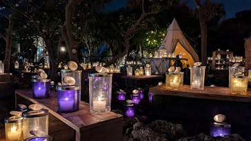 江の島シーキャンドルに投稿された画像（2024/11/5）