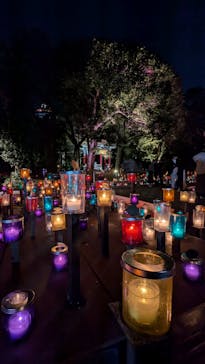 江の島シーキャンドルに投稿された画像（2024/11/5）