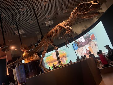 国立科学博物館に投稿された画像（2024/11/5）