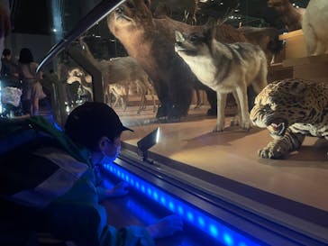 国立科学博物館に投稿された画像（2024/11/5）