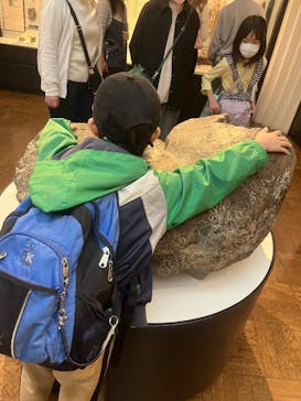 国立科学博物館に投稿された画像（2024/11/5）