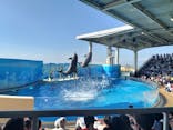 新江ノ島水族館に投稿された画像（2024/11/5）