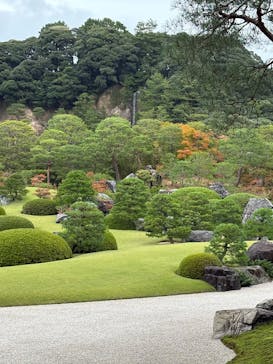 足立美術館に投稿された画像（2024/11/5）