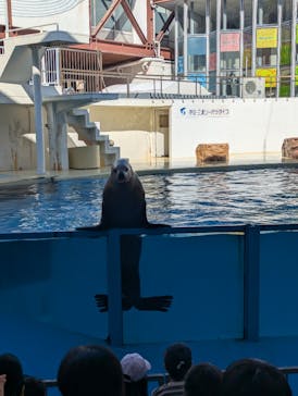 伊豆・三津シーパラダイスに投稿された画像（2024/11/5）