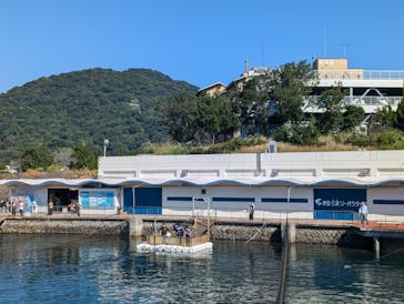 伊豆・三津シーパラダイスに投稿された画像（2024/11/5）