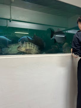 熱川バナナワニ園に投稿された画像（2024/11/5）