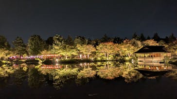 国営昭和記念公園 秋の夜散歩に投稿された画像（2024/11/5）