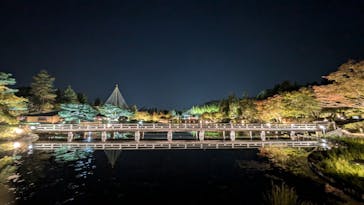 国営昭和記念公園 秋の夜散歩に投稿された画像（2024/11/5）
