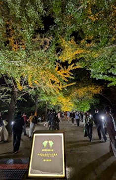 国営昭和記念公園 秋の夜散歩に投稿された画像（2024/11/5）