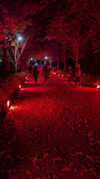 国営昭和記念公園 秋の夜散歩に投稿された画像（2024/11/5）