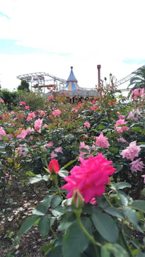 ひらかたパークに投稿された画像（2024/11/5）