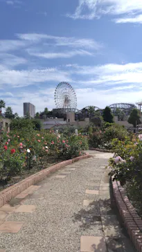 ひらかたパークに投稿された画像（2024/11/5）