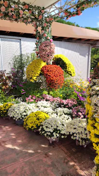 ひらかたパークに投稿された画像（2024/11/5）