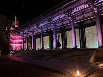 博多ライトアップウォーク実行委員会に投稿された画像（2024/11/5）