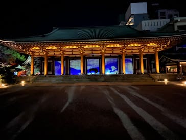 博多ライトアップウォーク実行委員会に投稿された画像（2024/11/5）