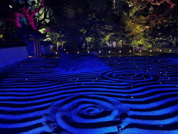 博多ライトアップウォーク実行委員会に投稿された画像（2024/11/5）