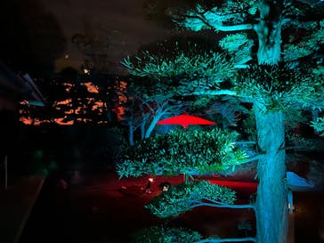 博多ライトアップウォーク実行委員会に投稿された画像（2024/11/5）