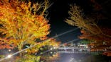 国営昭和記念公園 秋の夜散歩に投稿された画像（2024/11/5）