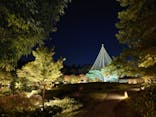 国営昭和記念公園 秋の夜散歩に投稿された画像（2024/11/5）