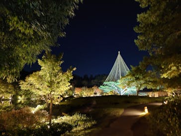 国営昭和記念公園 秋の夜散歩に投稿された画像（2024/11/5）