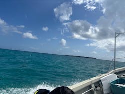 Kings Sea Road（キングスシーロード）に投稿された画像（2024/11/5）