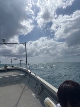 Kings Sea Road（キングスシーロード）に投稿された画像（2024/11/5）