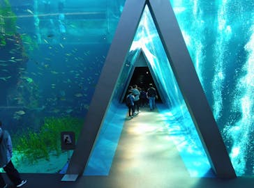 環境水族館アクアマリンふくしまに投稿された画像（2024/11/5）