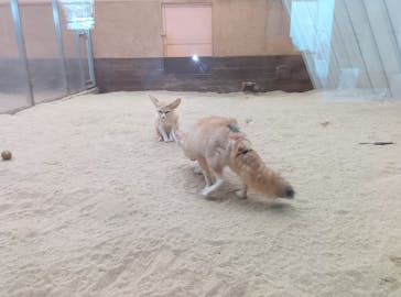 環境水族館アクアマリンふくしまに投稿された画像（2024/11/5）