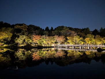 国営昭和記念公園 秋の夜散歩に投稿された画像（2024/11/5）