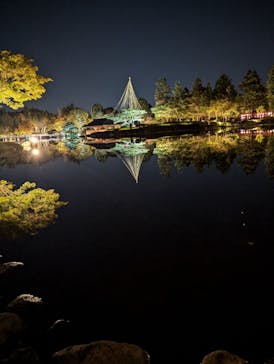 国営昭和記念公園 秋の夜散歩に投稿された画像（2024/11/5）