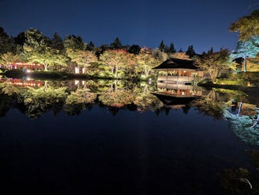 国営昭和記念公園 秋の夜散歩に投稿された画像（2024/11/5）