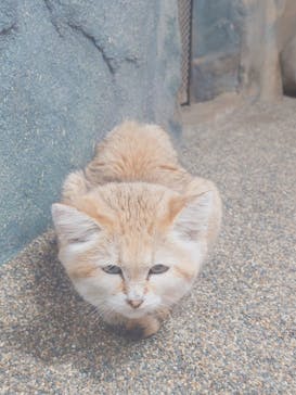 那須どうぶつ王国に投稿された画像（2024/11/5）