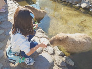 那須どうぶつ王国に投稿された画像（2024/11/5）