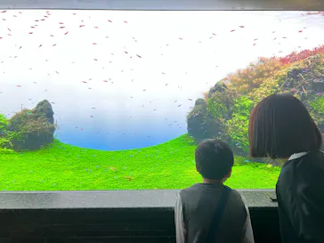 すみだ水族館に投稿された画像（2024/11/5）