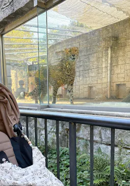 多摩動物公園に投稿された画像（2024/11/5）