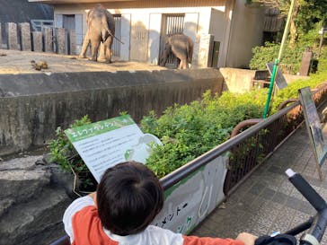 横浜市立金沢動物園に投稿された画像（2024/11/5）