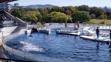 京都水族館に投稿された画像（2024/11/5）