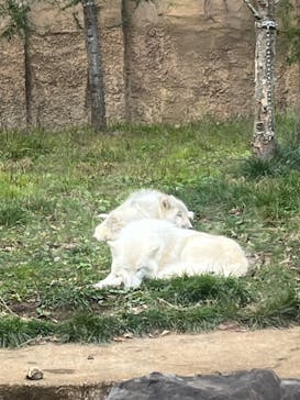 那須どうぶつ王国に投稿された画像（2024/11/5）