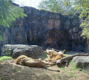 天王寺動物園に投稿された画像（2024/11/5）