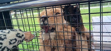 那須サファリパークに投稿された画像（2024/11/5）