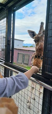 那須サファリパークに投稿された画像（2024/11/5）