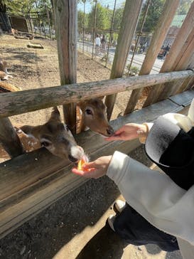 東武動物公園に投稿された画像（2024/11/5）