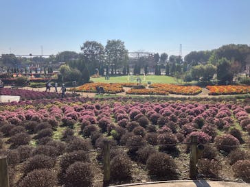 東武動物公園に投稿された画像（2024/11/5）